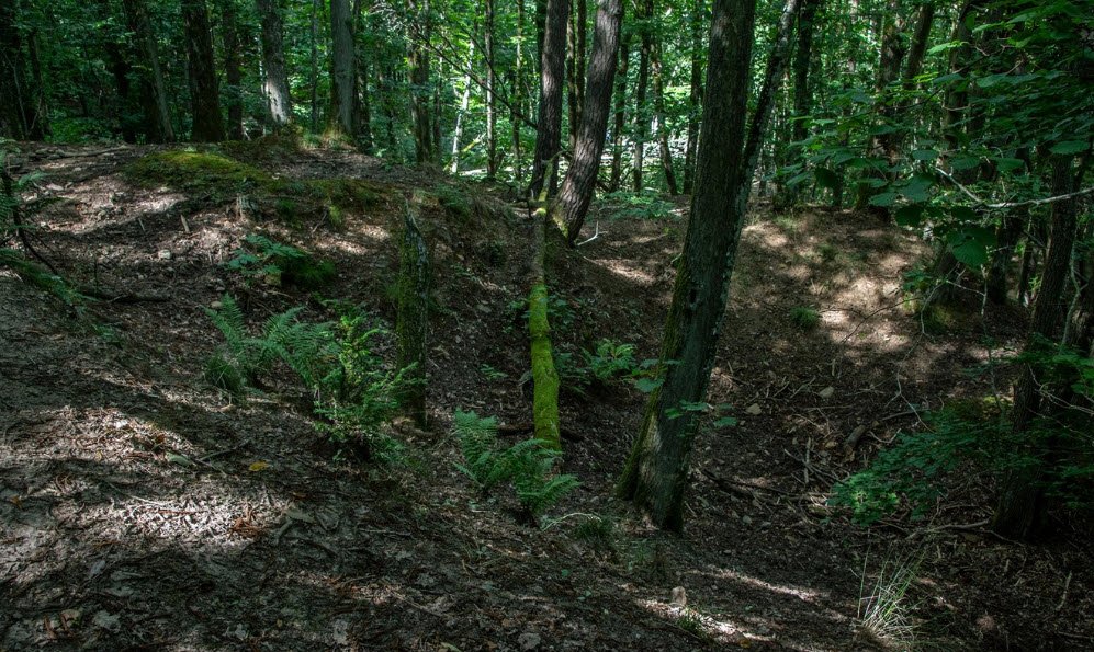 Burgstelle Alt-Scharfeneck, Frankweiler, Germany, Germany